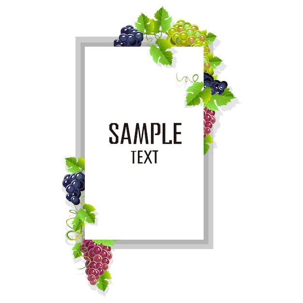 Vector card template with grapes