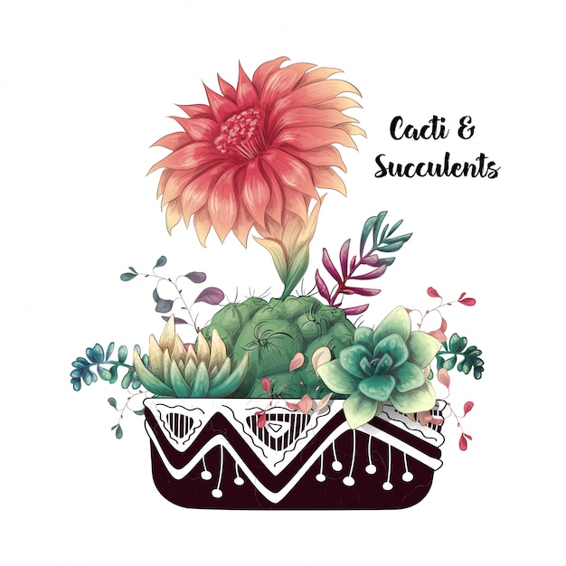 Vector card with cactuses and succulents set