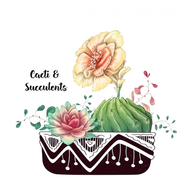 Scheda con set di cactus e succulente