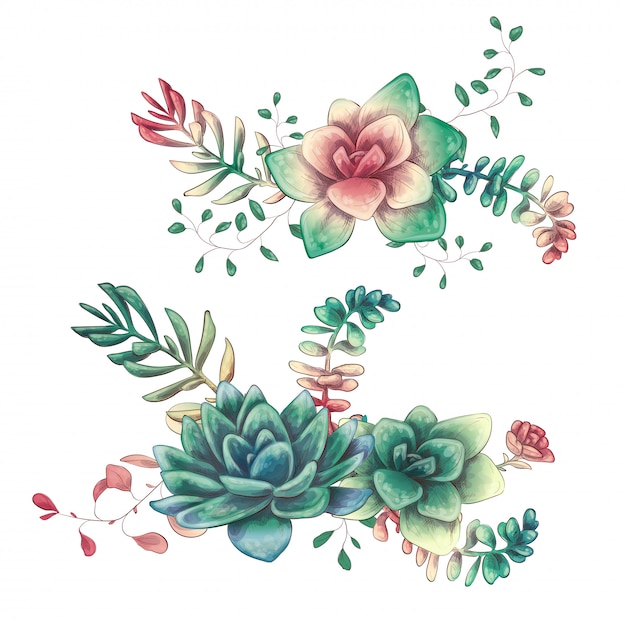 Card with cactuses and succulents set