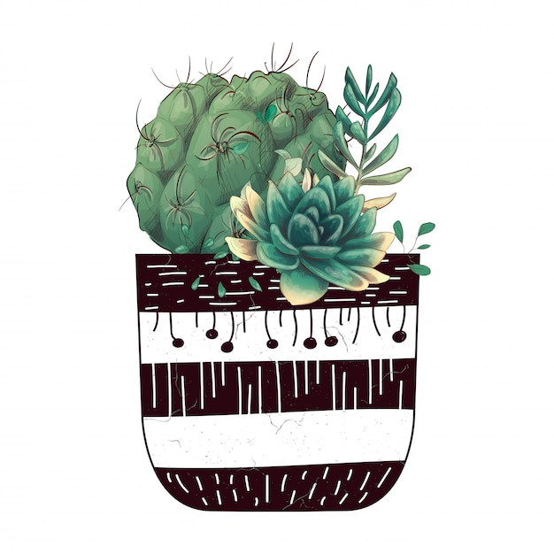 Card with cactuses and succulents set.