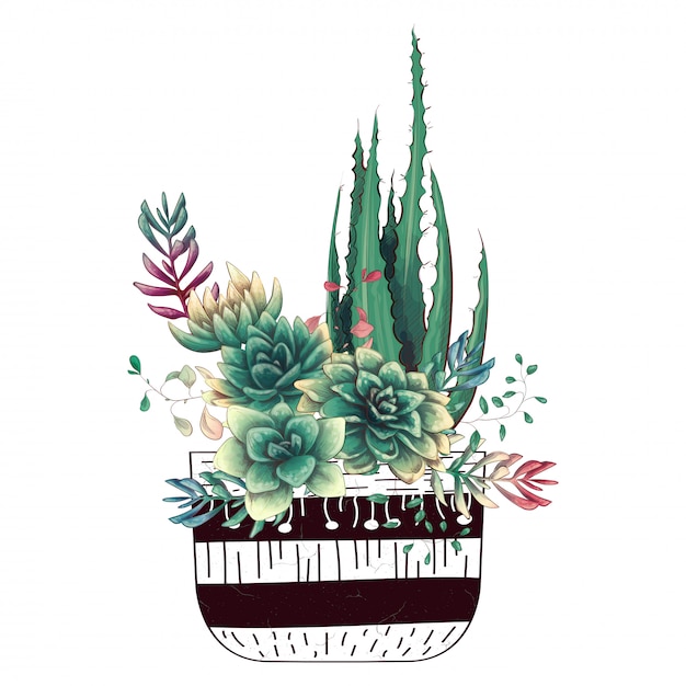 Card with cactuses and succulents set. 