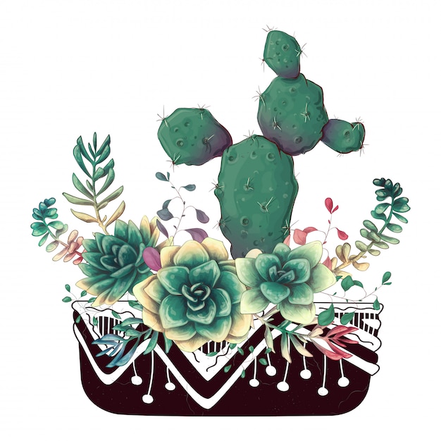 Vector card with cactuses and succulents set.