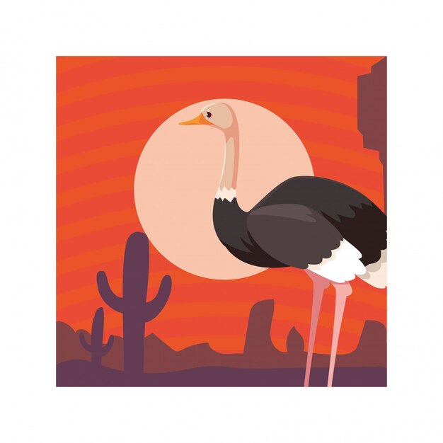 Vector card with ostrich in australian landscape