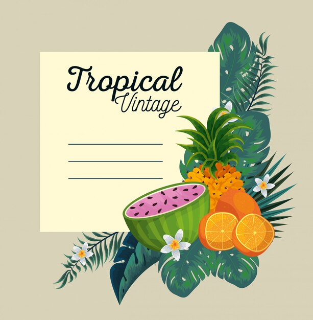 card with tropical fruits and exotic flowers and leaves