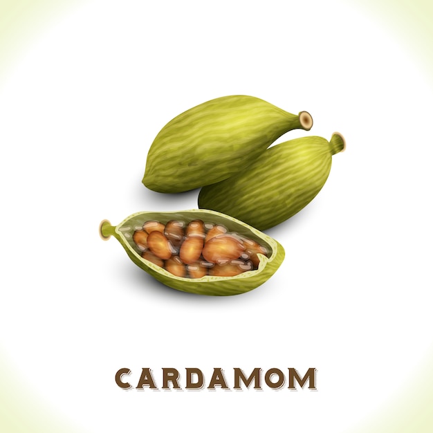 Cardamom isolated