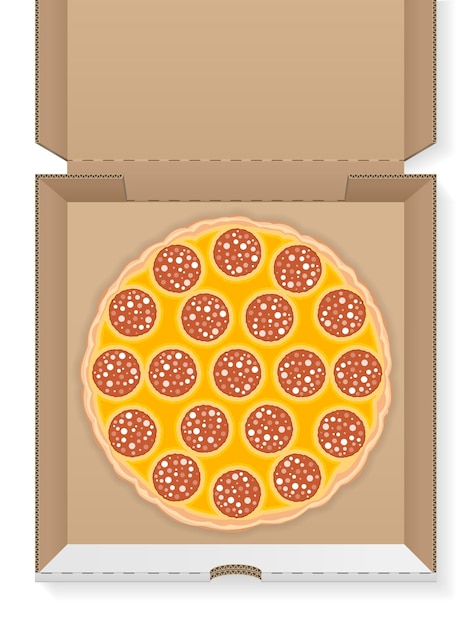 Cardboard box with pizza