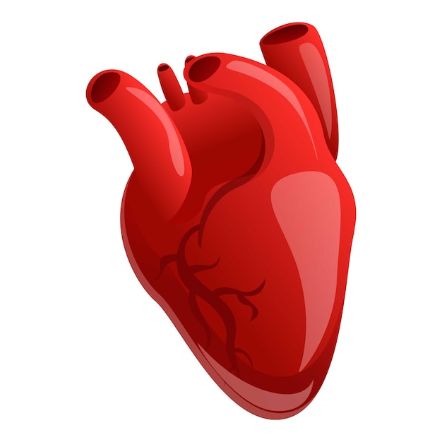 Vettore icona del cuore umano cardiaco caricatura dell'icona vettoriale del cuore umano cardiale per il web design isolata su sfondo bianco