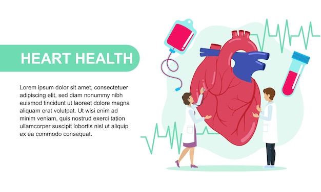 Cardiologen onderzoeken de gezondheid van het hart met medische hulpmiddelen