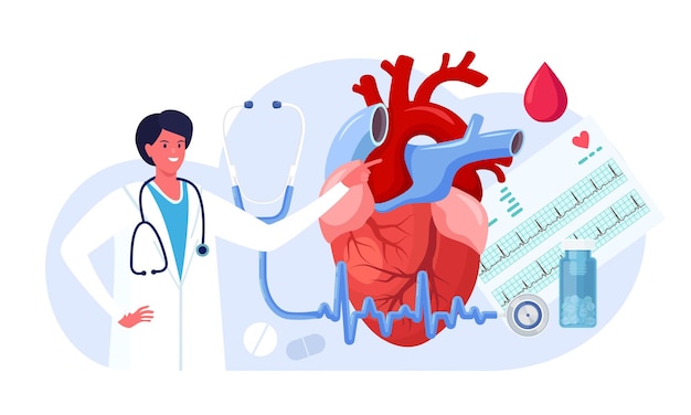 Vector cardiologie. cardioloog onderzoekt menselijk hart. dokter behandelt hartaandoeningen, controleer de hartslag en pols van de patiënt met cardiogram, diagnose beroerte