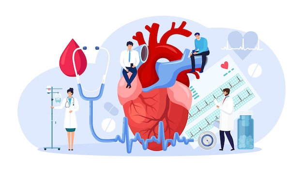 Vector cardiology, cardiovascular heart diagnostics. cardiologist doctor diagnosis heart disease, medical check up. transplantation research, heart attack, hypertension, diabetes