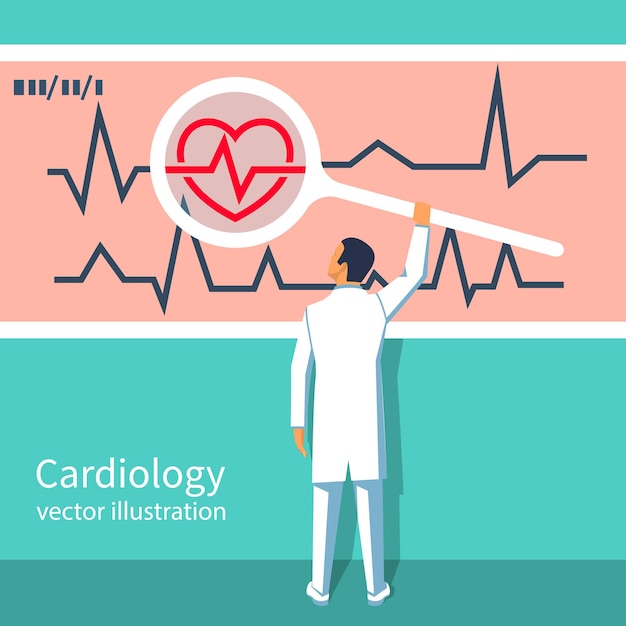 Vettore concetto di cardiologia. il medico cardiologo tiene una lente d'ingrandimento nelle mani, guarda il cardiogramma. battito cardiaco rosso con linea della vita, simbolo dell'assistenza sanitaria. background medico. design piatto illustrazione vettoriale.