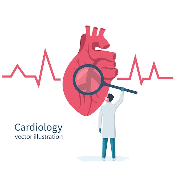 Cardiology concept Cardiologist doctor holds magnifying glass in hands