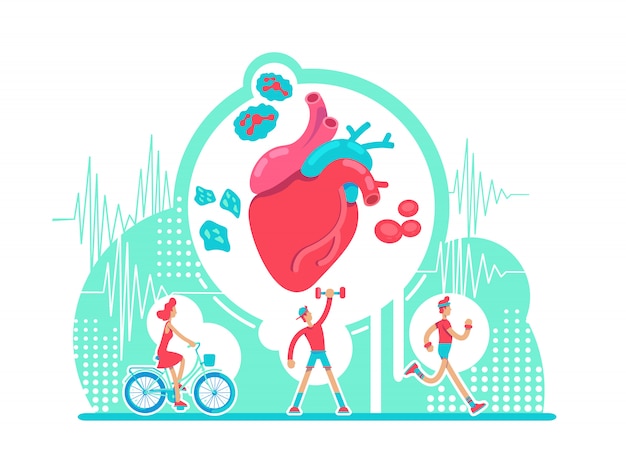 Illustrazione piana di concetto di sanità del sistema cardiovascolare. allenamento cardio attivo. cuore anatomico. personaggi dei cartoni animati 2d stile di vita sano