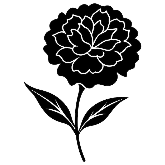 carnation flower flat color vector art
