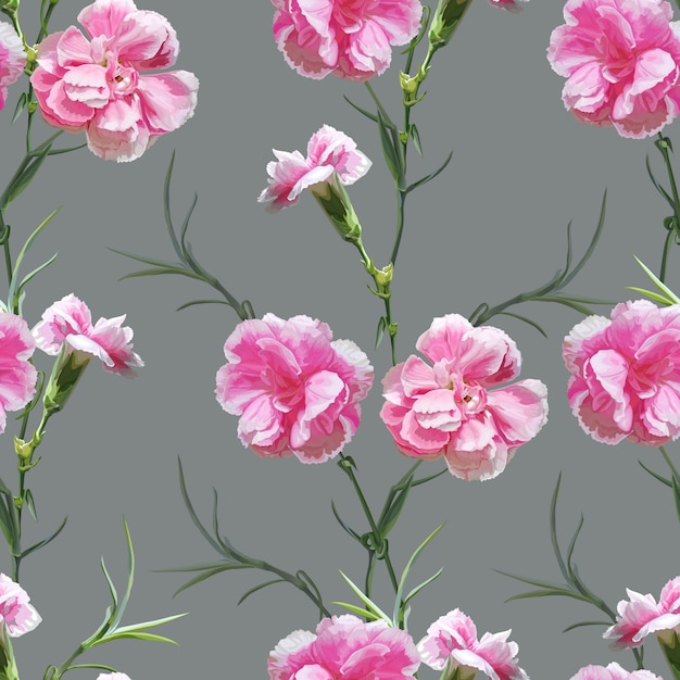 Vector carnation flower seamless pattern