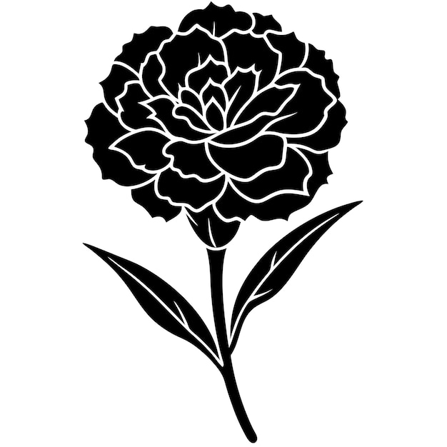 carnation flower silhouette vector illustration