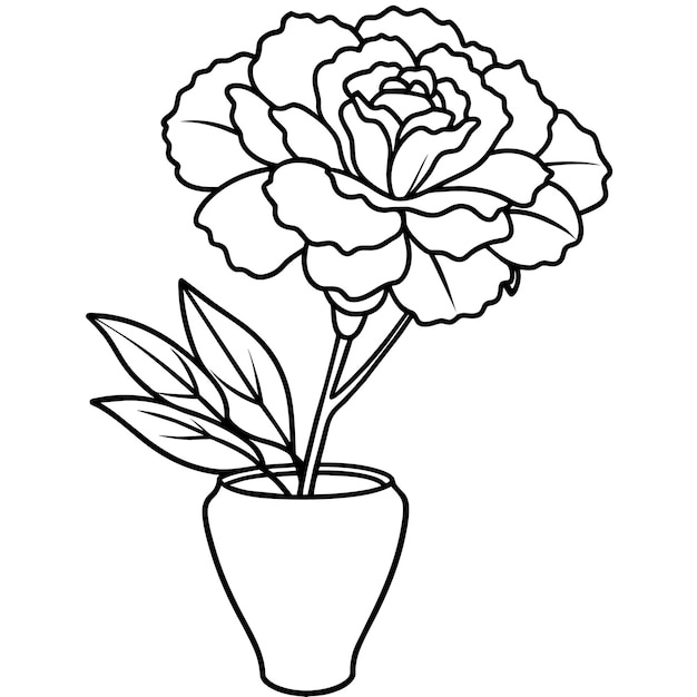 carnation flower on the vase outline illustration coloring book page design