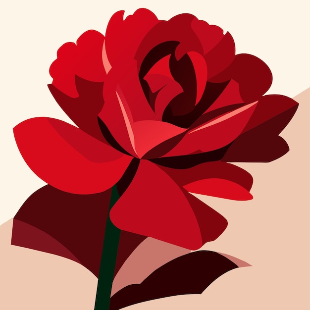 Vector carnation flower