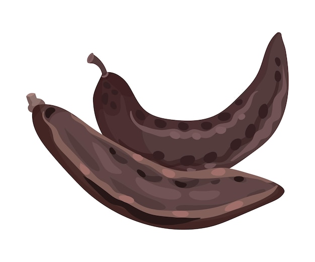 Vector carob pod met zaden binnen geïsoleerd op witte achtergrond vector illustratie