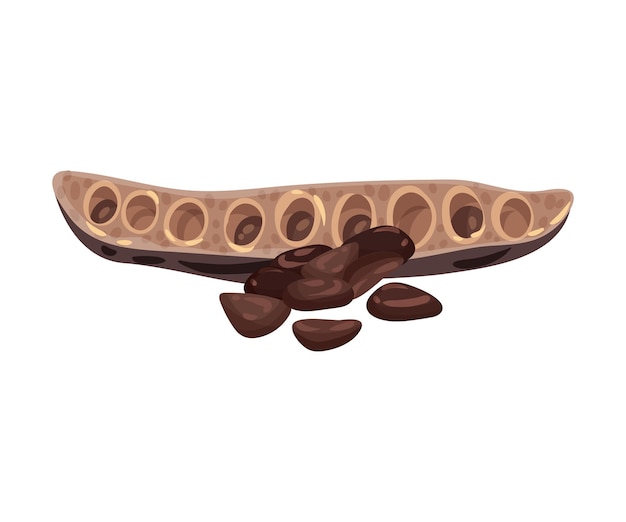 Carob pod with seeds inside isolated on white background vector illustration