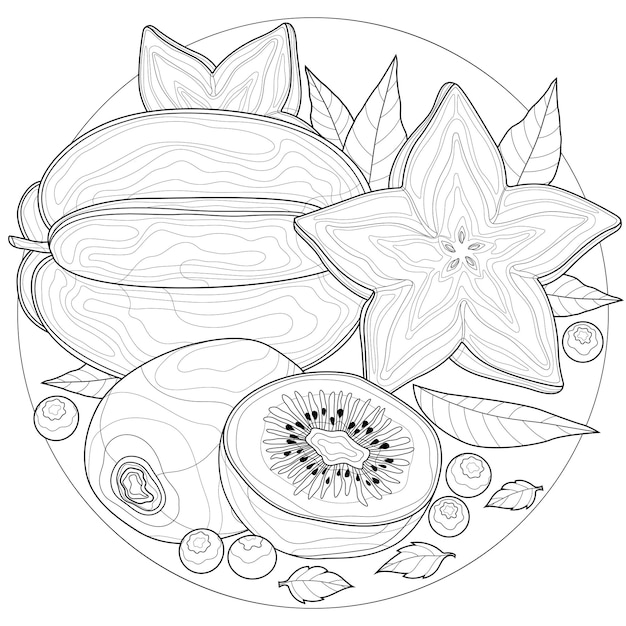 Carom and kiwi.Coloring book antistress for children and adults. Zen-tangle style.Black and white drawing