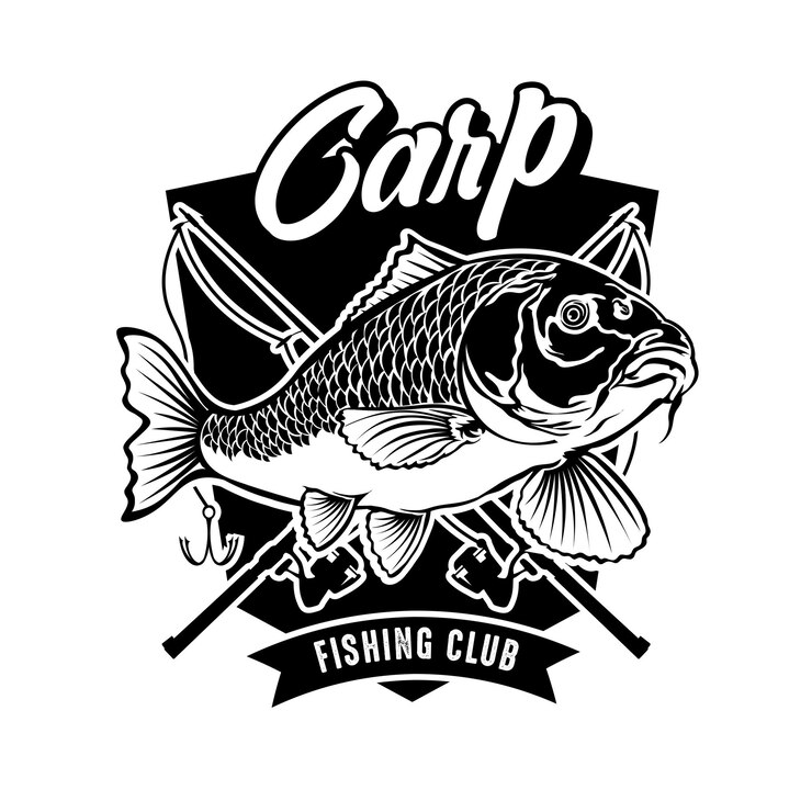 Vector carp fishing logo vector illustration perfect for fishing club logo