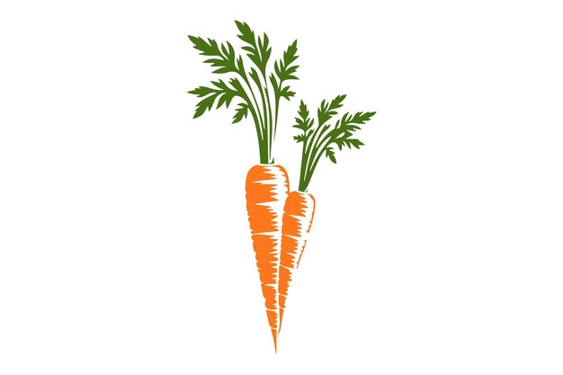 Vector carrot in color stock illustration