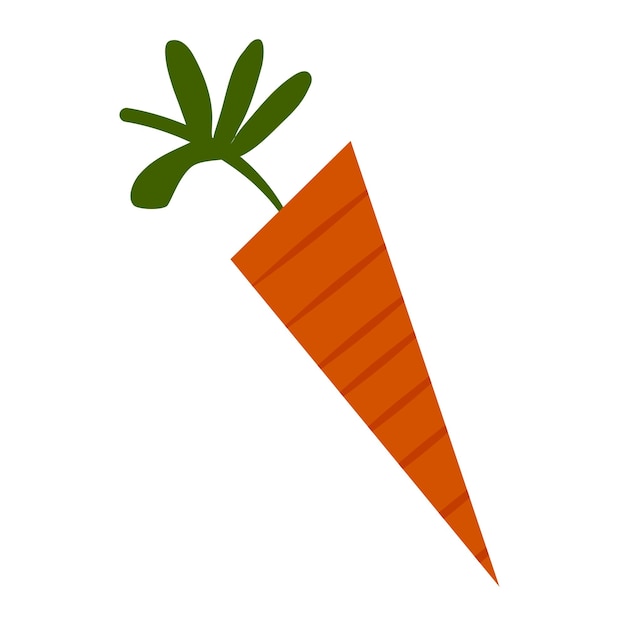 Vector carrot design on white background