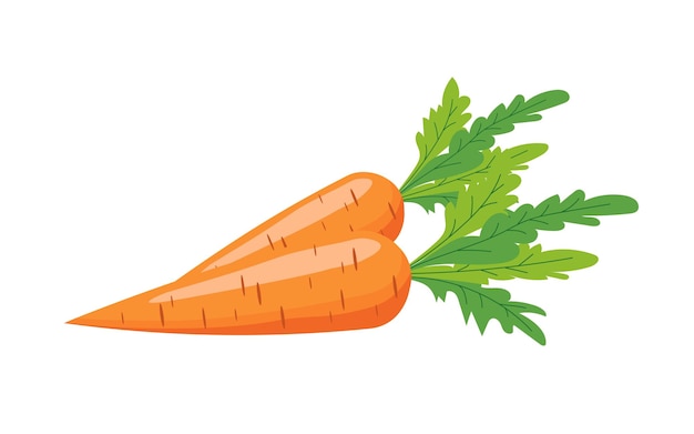 Carrot in flat style on a white background