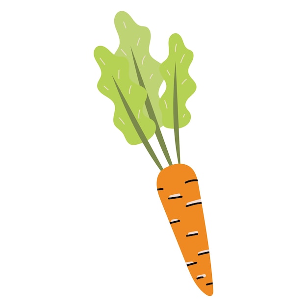 Carrot great design for any purposes Vegetarian healthy food