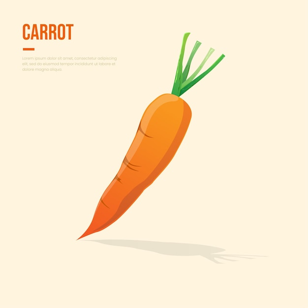 Vettore illustrazione disegnata a mano di carota