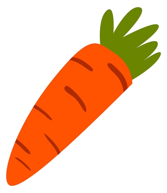 Carrot icon Fresh root vegetable Juicy food