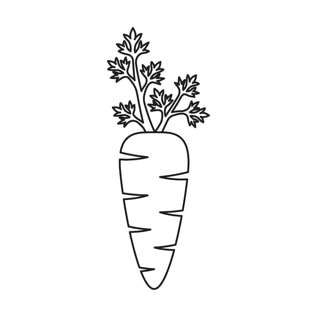 Carrot icon vector illustration Vegetable on isolated background Agriculture plant sign concept