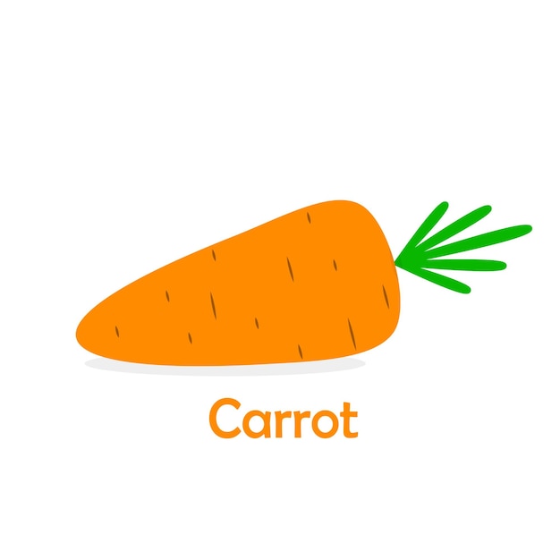 Carrot icon Vector illustration