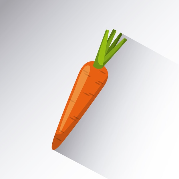 Vector carrot icon over white background.