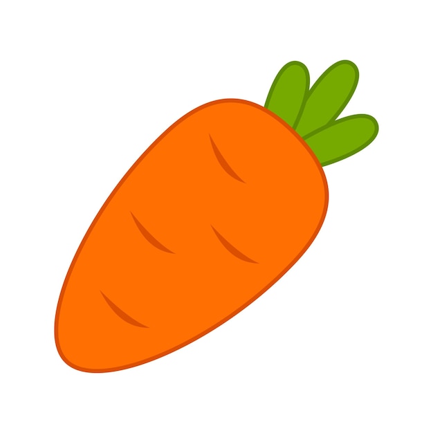 Carrot isolated on white background Vector illustration