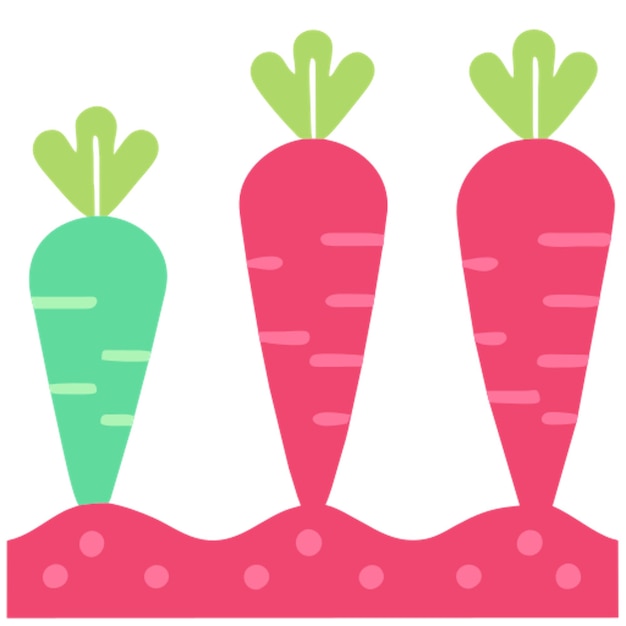 carrot plant growth stages icon colored shapes