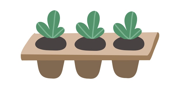 ニンジン 植物 野菜を植える ニンジンの成長段階 ベクトル描画イラスト