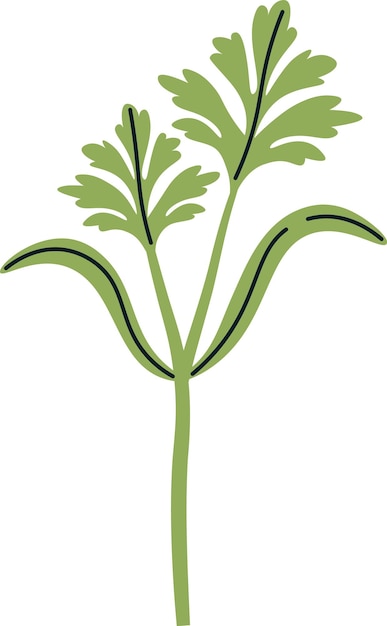 Vector carrot plant sprout