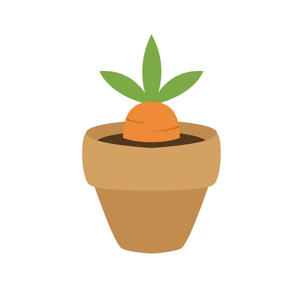 Vector carrot in a pot