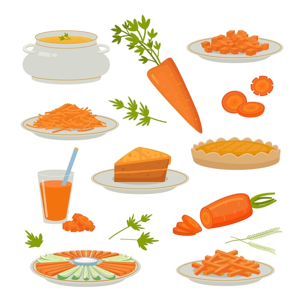 Carrot products sliced natural healthy orange color vegetables with carotene Vector pictures of carrot juice and baking pie