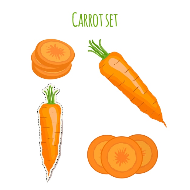 Vector carrot set made in cartoon flat style