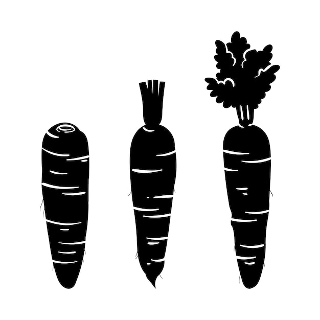 carrot silhouette illustration 2