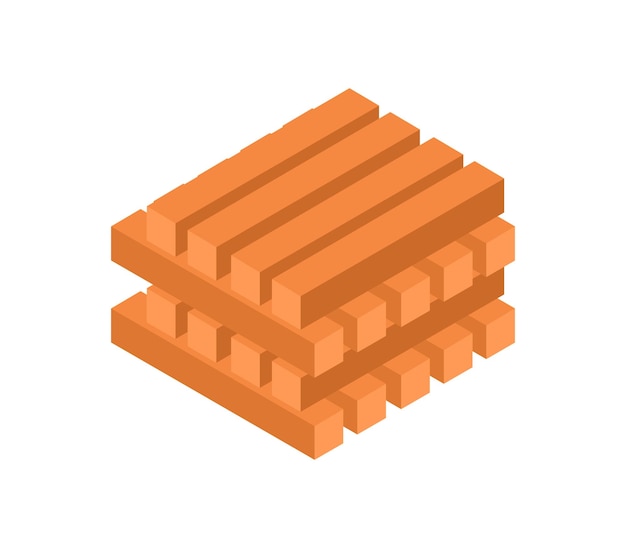 Vector carrot slices isometric