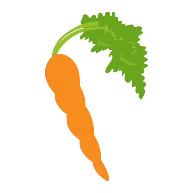 Carrot Vector carrot in trendy flat style Vector concept Isolated object