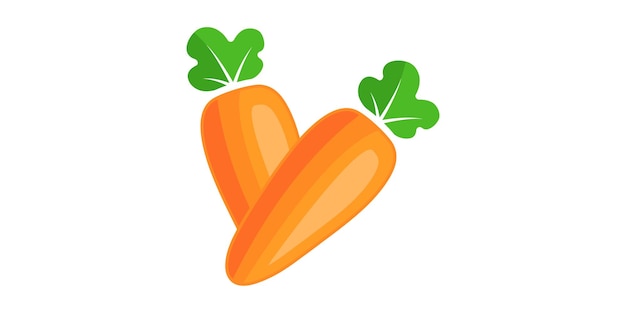 Vector carrot vector template design