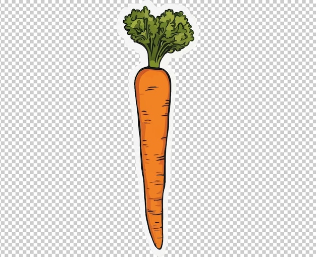 Carrot vector