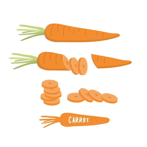 Vettore di carota