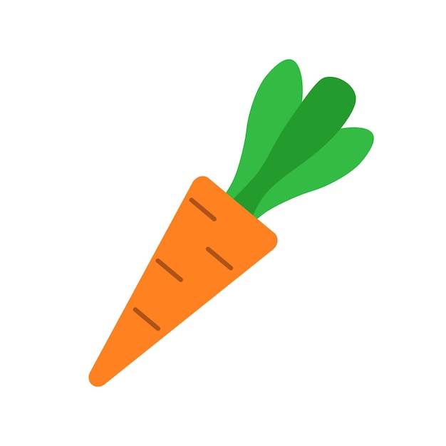 Carrot vector